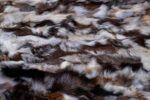 Luxury Colorful Fox Fur Blanket – Real Fur Home Throw Modern Cozy Gift
